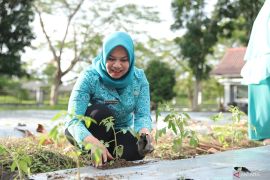 Safriati Safrizal harapkan program PKK Cikar terus ditingkatkan