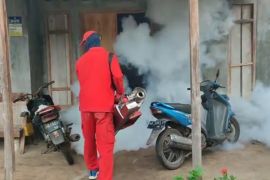 Dinkes Ponorogo waspadai potensi peningkatan kasus demam berdarah