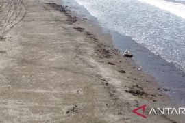 Kodim 0622 dan warga ubah pantai terkotor di Sukabumi jadi bersih