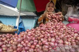 Tren penurunan harga bawang merah di Palu Page 1 Small