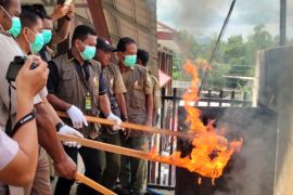 BKSDA Maluku musnahkan 1,6 ton kayu gaharu buaya asal SBT hasil tindak pidana