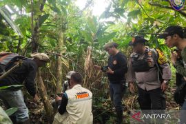 BKSDA Sumbar tangani dua konflik satwa liar di Agam