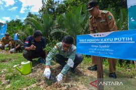 PT Vale sumbang 5.000 bibit pohon untuk penghijauan di Maros-Pankep