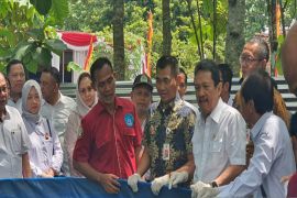 Menteri KKP membantu pengembangan budi daya lele Gunungkidul Rp50 miliar