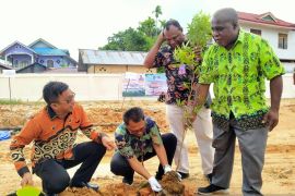 PBD tanam pohon endemik Papua antisipasi pemanasan iklim