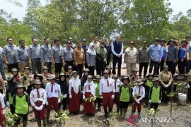 Menteri LHK pimpin tanam pohon mangrove serentak dari Bengkalis