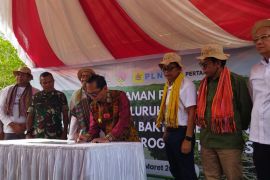 NTT rehabilitasi mangrove lewat pembangunan wilayah terpadu