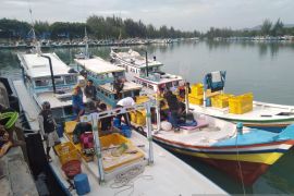 Produksi ikan tangkapan nelayan Sungailiat capai 283.142 kg