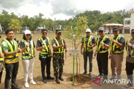 Pemprov Maluku  lakukan penanaman pohon serentak 2024