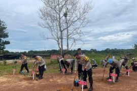 Polres Bangka Selatan tanam bibit buah di lahan bekas tambang timah