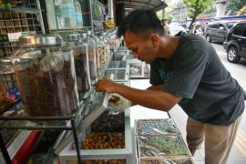 Penjualan Kurma di Medan