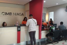 CIMB Niaga sasar Bali genjot serapan kredit-DPK