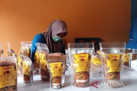 Kegunaan olahan abon lele untuk cegah stunting