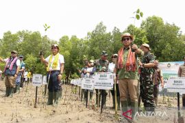 Penanaman Pohon Mangrove di NTT Page 2 Small