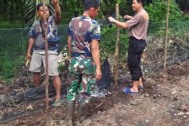 Polres OKU manfaatkan lahan kosong sebagai  media bercocok tanam