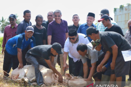 Pemkab Pidie bagikan 3.000 paket meugang untuk kaum duafa jelang Ramadhan