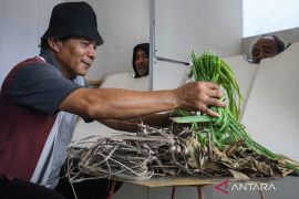 Manfaat tanaman herbal untuk obat tambahan diabetes