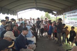 Pj Bupati Tanah Laut panen raya padi varietas siam cantik