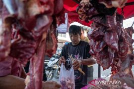 Kenaikan temporer harga daging ayam dan sapi Page 3 Small