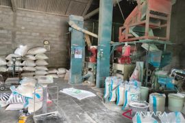 Harga beras di Kulon Progo turun