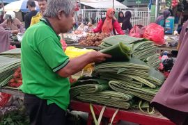 Daun pisang banyak diburu di Lebak, apa alasannya?