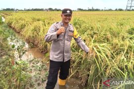 Bhabinkamtibmas motivasi warga Desa Handil Birayang Atas bercocok tanam