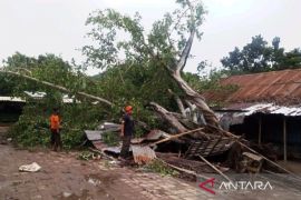BPBD: Rumah atap ringan rentan rusak akibat angin puting beliung