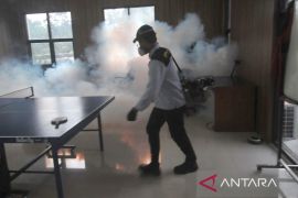 Dinkes Bogor catat kasus DBD melonjak secara signifikan