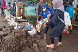 3.109 KK terdampak banjir di Probolinggo