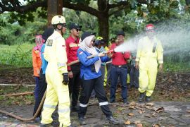 PT Vale gandeng PPI KLHK antisipasi kebakaran hutan dan lahan di Lutim