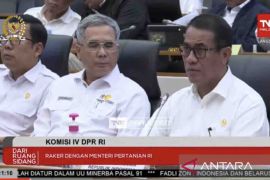 Meteri Andi Amran pastikan tambahan pupuk sudah disetujui saat Raker dengan DPR