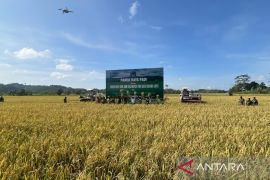 Bulog Kaltim-Kaltara  prioritaskan penyerapan hasil panen lokal