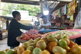 Harga tomat di Gorontalo turun pada awal Ramadhan