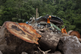 Pencarian korban longsor di Kabupaten Pesisir Selatan Page 1 Small