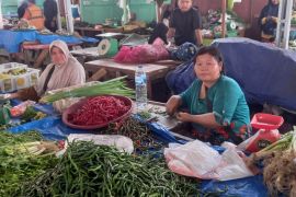 Pemerintah Provinsi Riau andalkan produksi cabai asli daerah