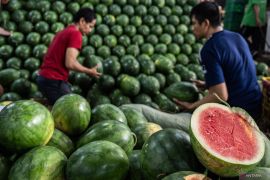 Manfaat mengonsumsi buah semangka bagi kesehatan