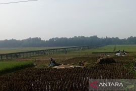 BI optimistis harga beras di Banyumas Raya segera turun
