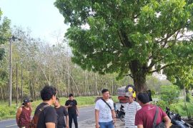 Polres Simalungun selidiki peredaran narkoba di area perkebunan karet