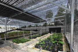 Arsari Tambang eyes bagging Gold PROPER from KLHK in 2025