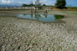 BMKG imbau warga kurangi aktivitas luar ruangan saat cuaca panas