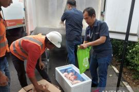 Bapanas: Bantuan pangan penanganan stunting berdayakan peternak lokal