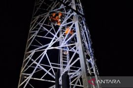 Basarnas Kaltim gunakan teknik tandem selamatkan warga di atas menara