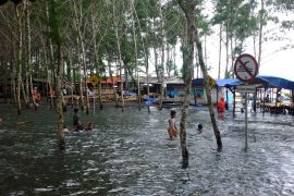 BPBD Jember imbau warga waspada banjir rob pesisir selatan