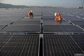 GEAPP: Indonesia butuh banyak pekerjaan dengan keterampilan hijau