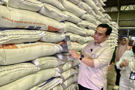 Ombudsman RI minta pemerintah rumuskan strategi impor beras ke depan