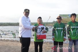 Babel kerahkan penyuluh hama tanaman sukseskan Gerakan Semarak