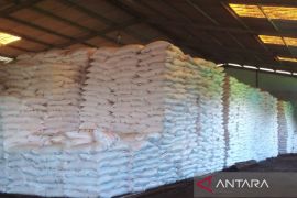 Realisasi penyaluran pupuk subsidi di Bengkulu capai 243,78 ton