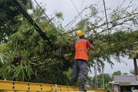 PLN UIW MMU siagakan petugas lapangan amankan sistem kelistrikan saat cuaca ekstrem