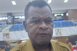 Dishut Papua ingatkan warga tak merambah hutan di musim hujan