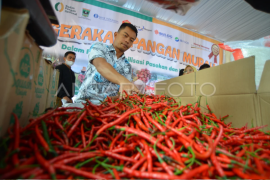 Pasar murah komoditas cabai merah di Padang Page 1 Small